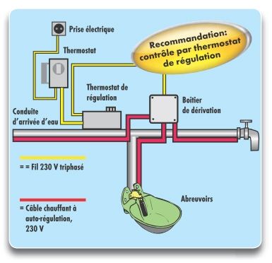 Câble chauffant antigel avec thermostat 230V